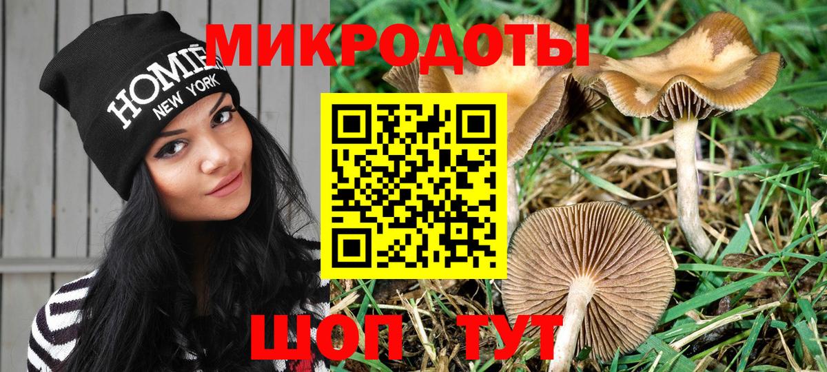 Псилоцибиновые грибы ЛСД Минеральные Воды