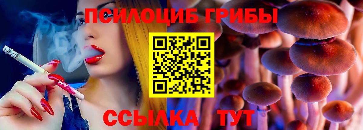 Галлюциногенные грибы Psilocybine cubensis  Вход с VPN  Псилоцибиновые грибы Cubensis  Минеральные Воды 